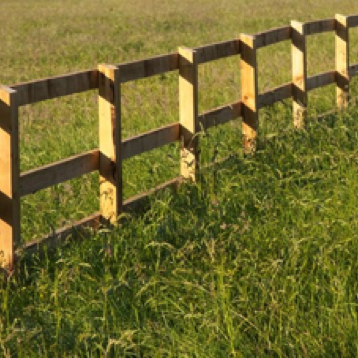 Agricultural fence